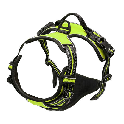 Pet harness