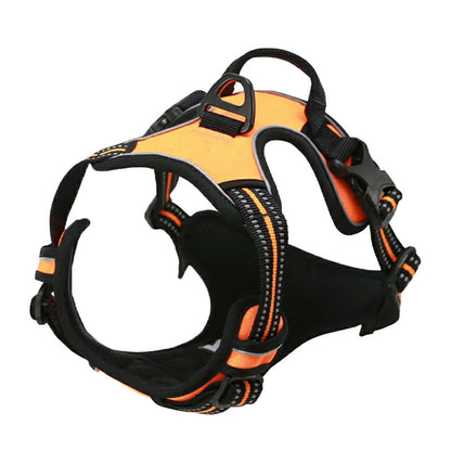 Pet harness