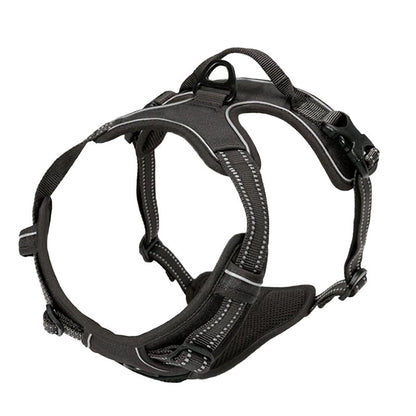 Pet harness
