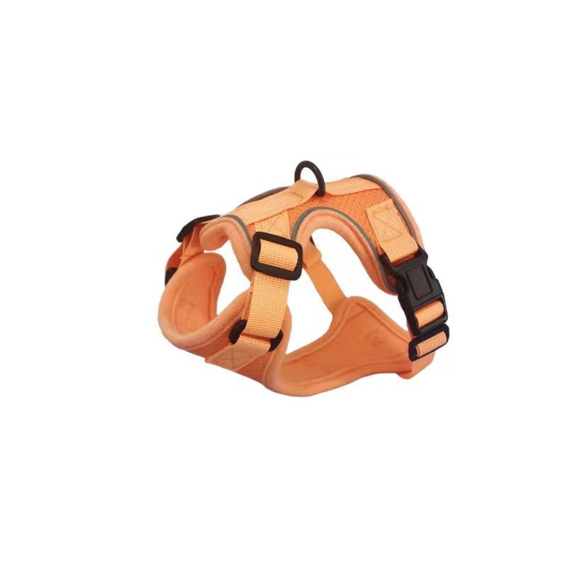 Pet Harness Leash