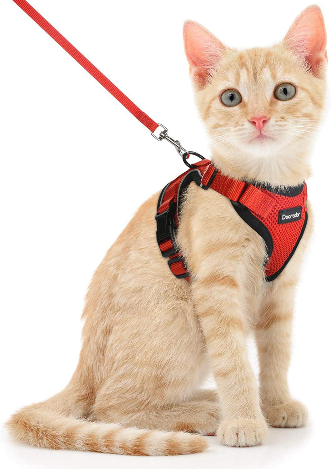 Pet Harness Leash