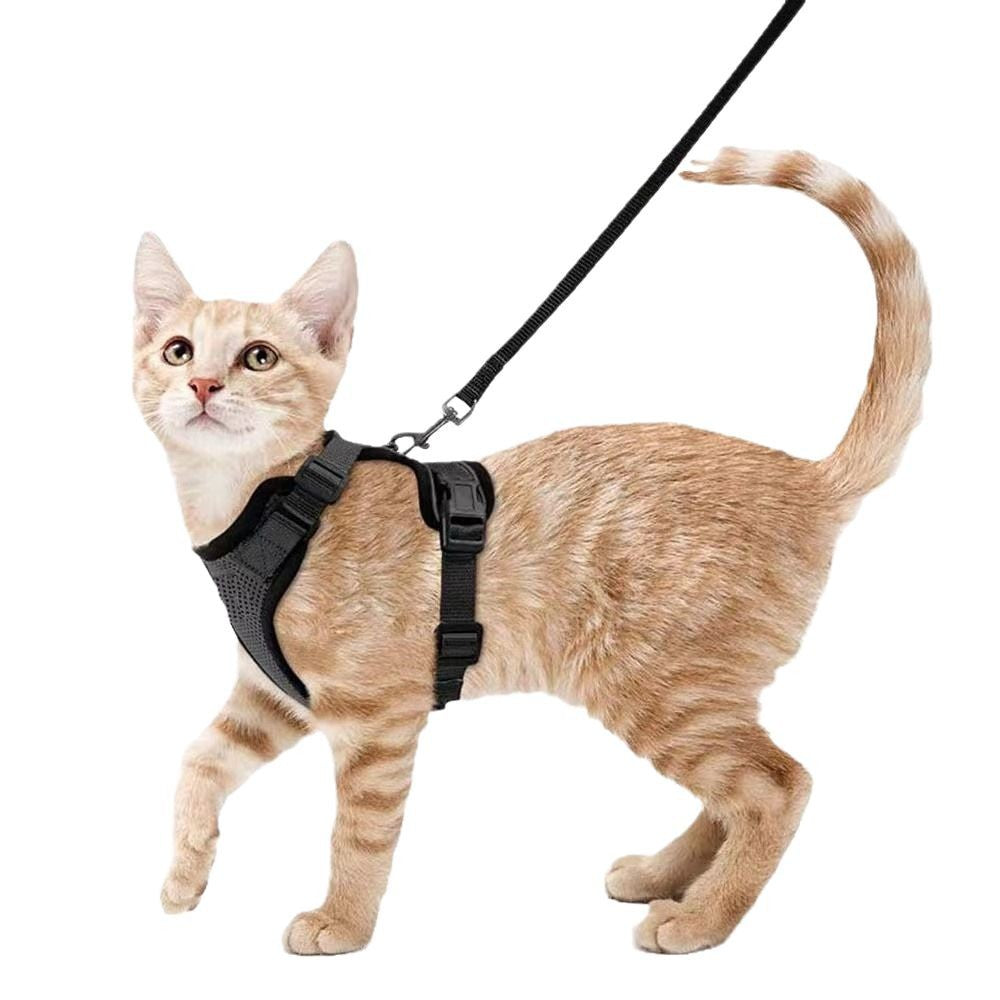 Pet Harness Leash