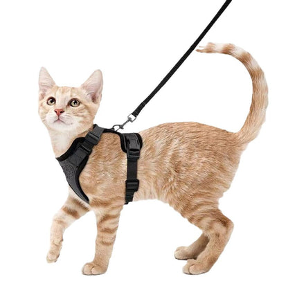 Pet Harness Leash