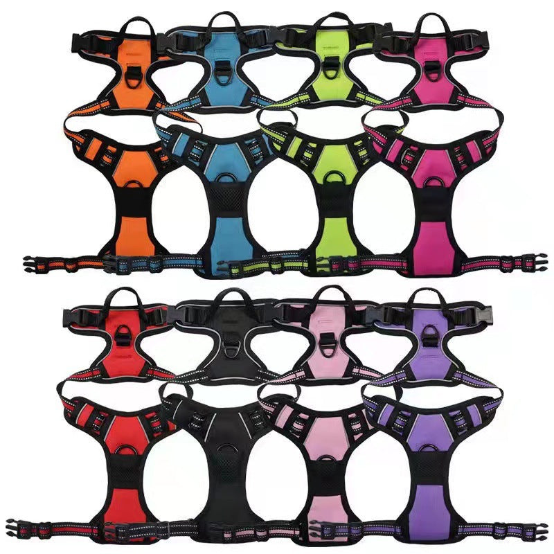 Pet Harness Leash