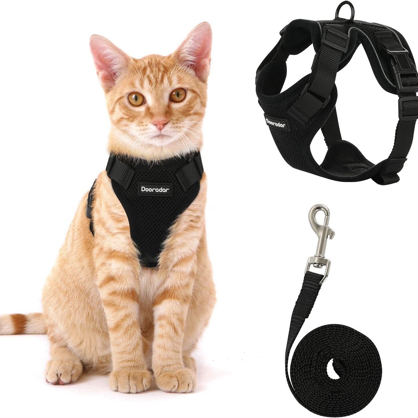 Pet Harness