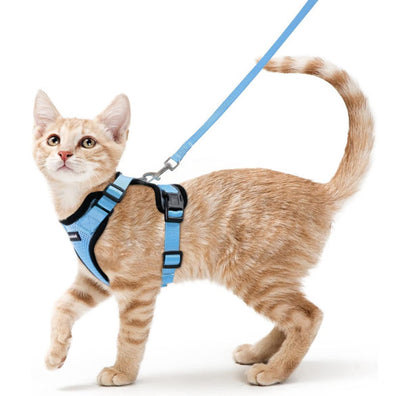 Pet Harness