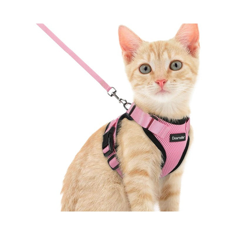Pet Harness