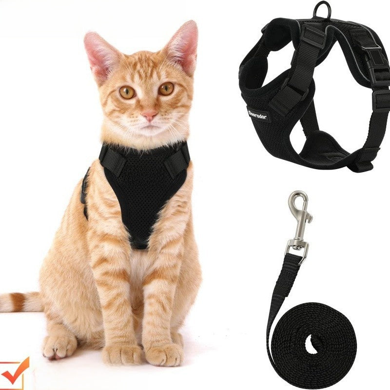 Pet Harness