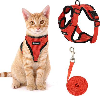 Pet Harness