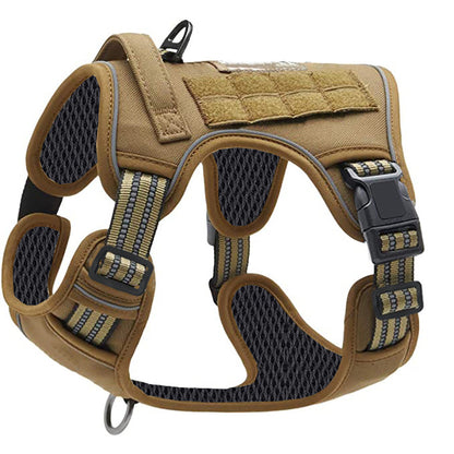 pet harness