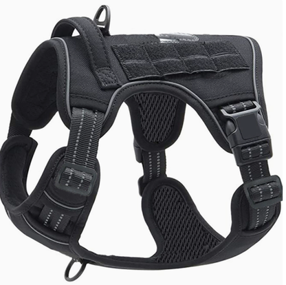 pet harness