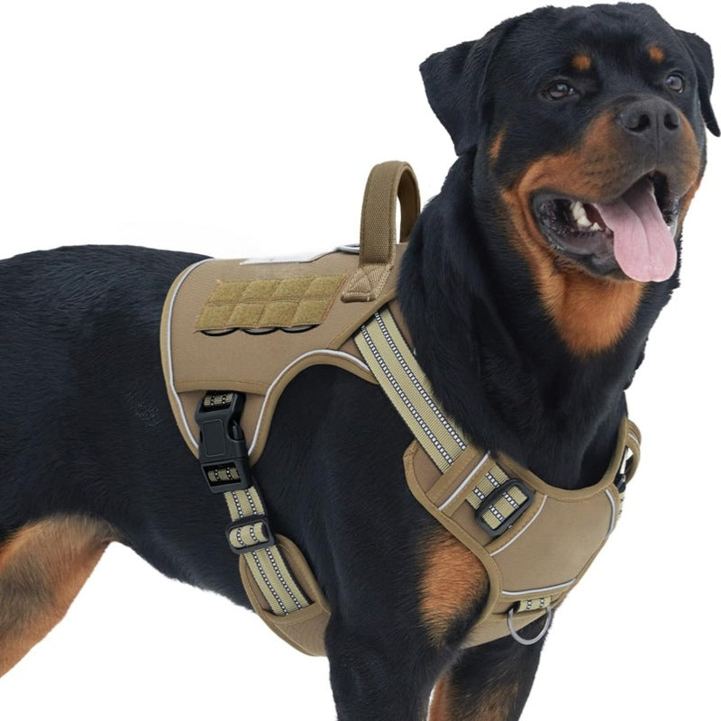 pet harness