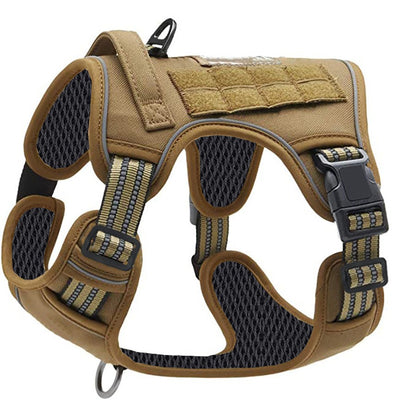 pet harness