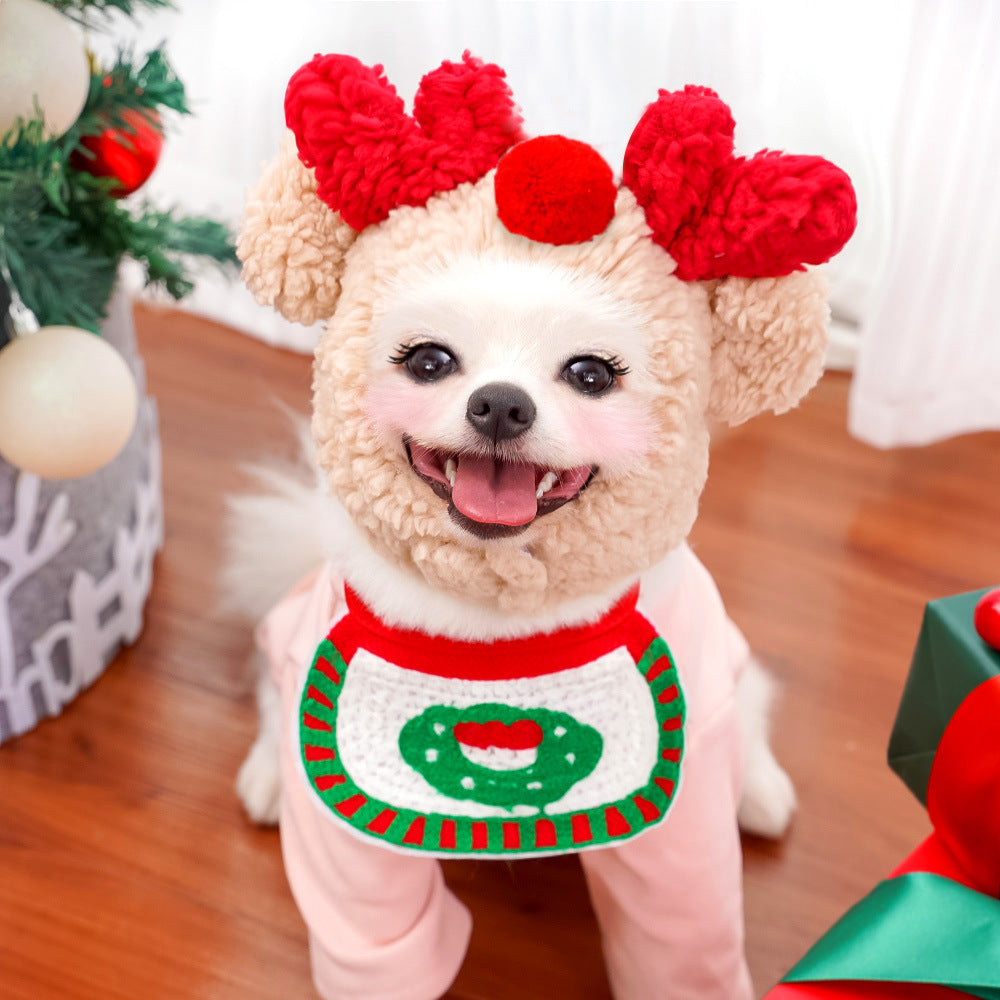 Pet hat bib