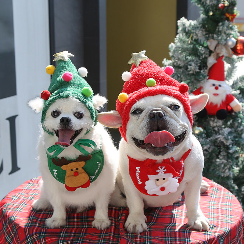 Pet hat bib
