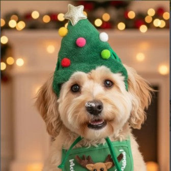Pet hat bib
