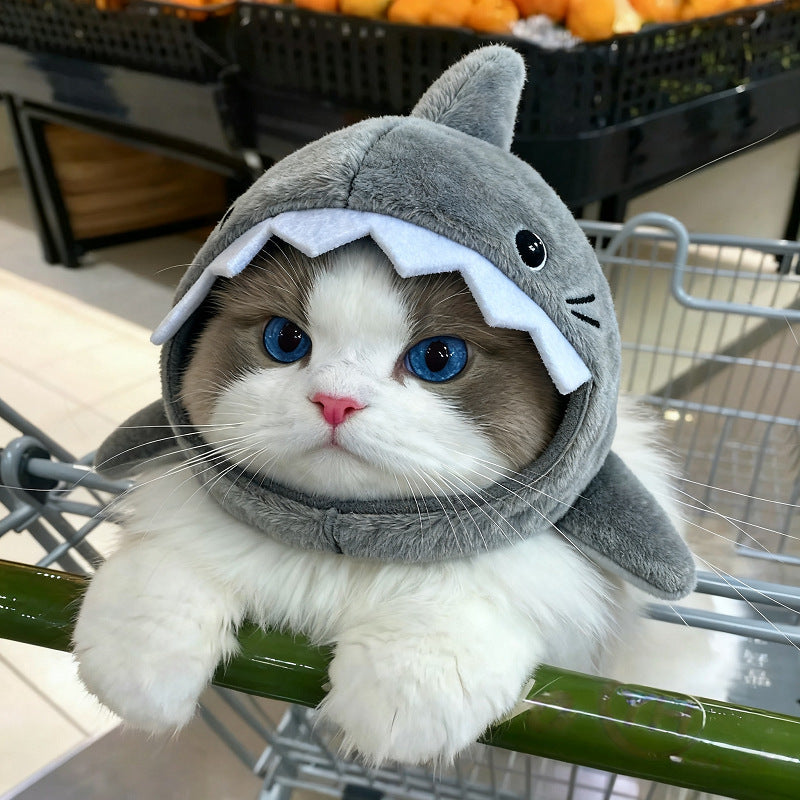 Pet Headwear