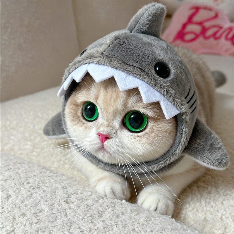 Pet Headwear
