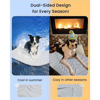 Pet ice pad