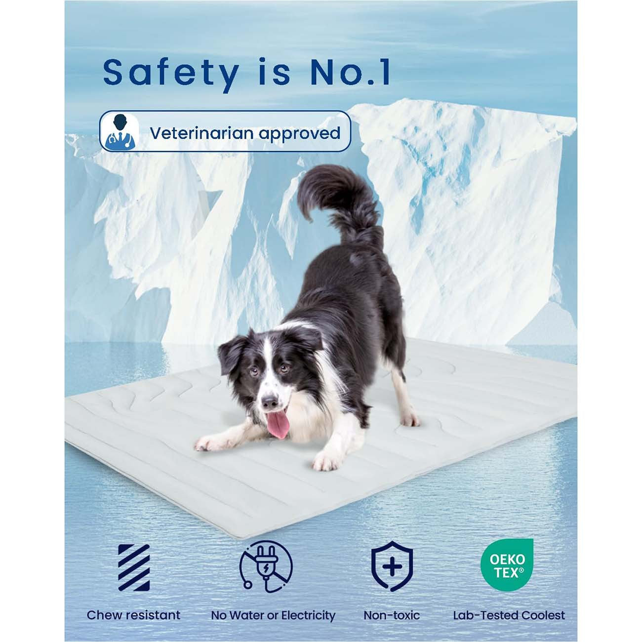 Pet ice pad