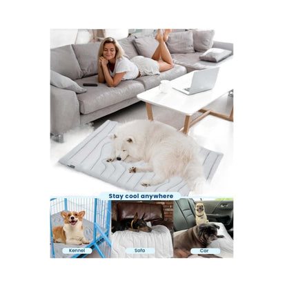 Pet ice pad
