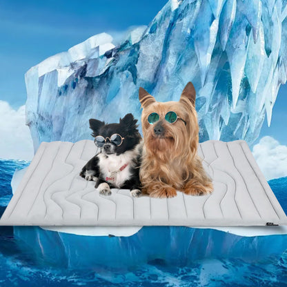 Pet ice pad