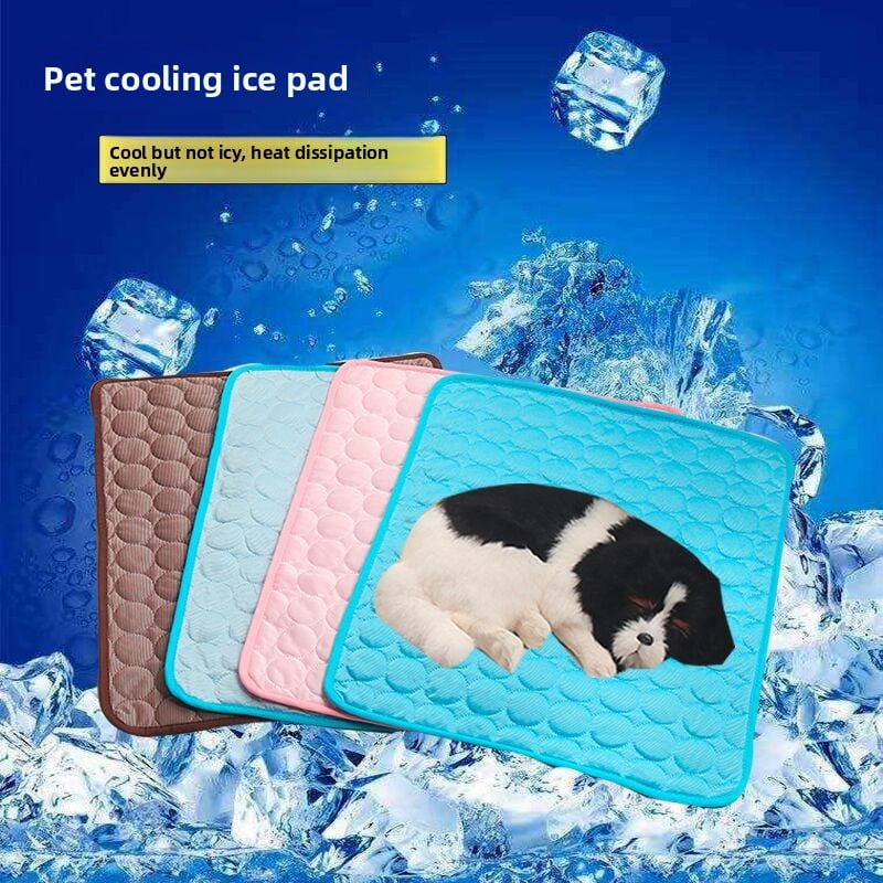 Pet ice pad