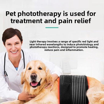 Pet infrared therapy device