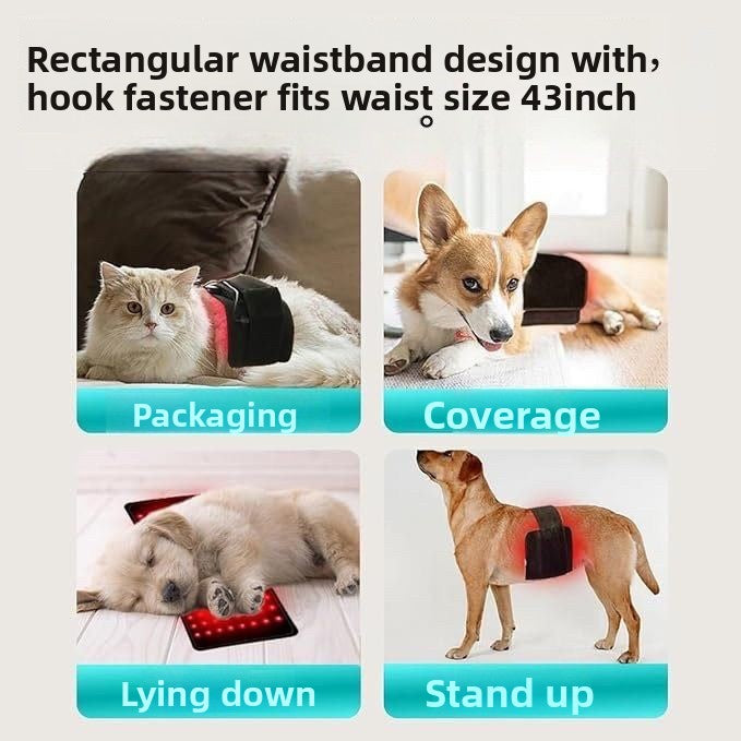 Pet infrared therapy device