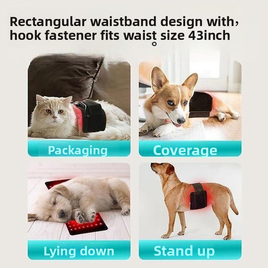 Pet infrared therapy device