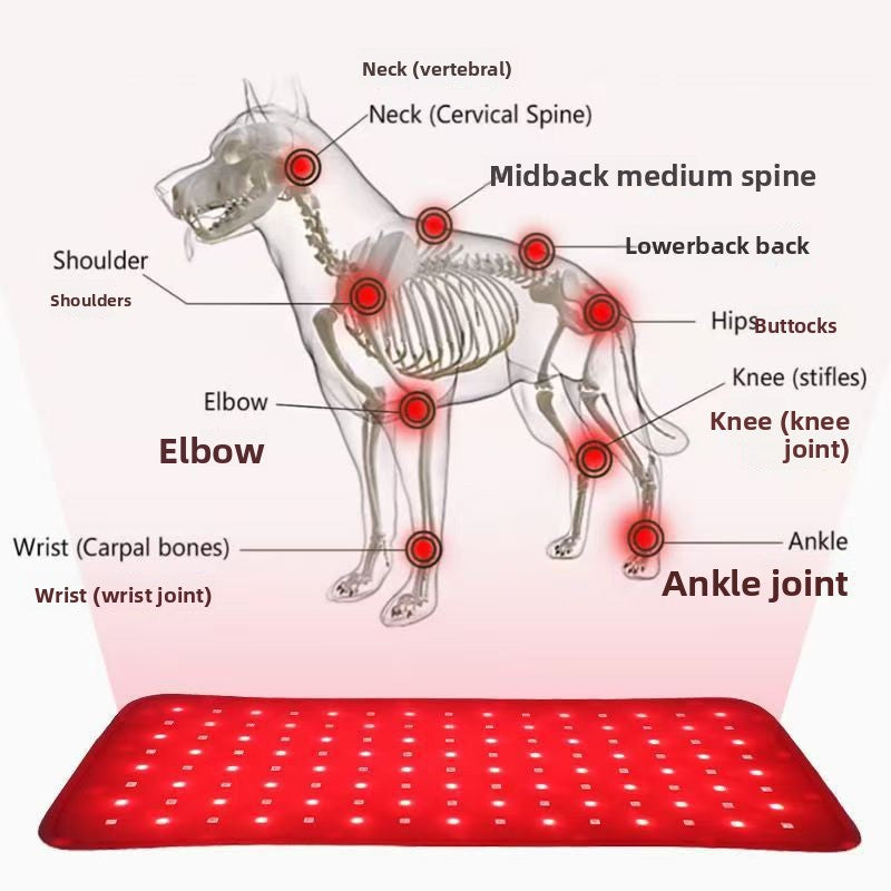Pet infrared therapy device
