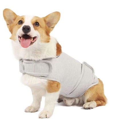 Pet jacket