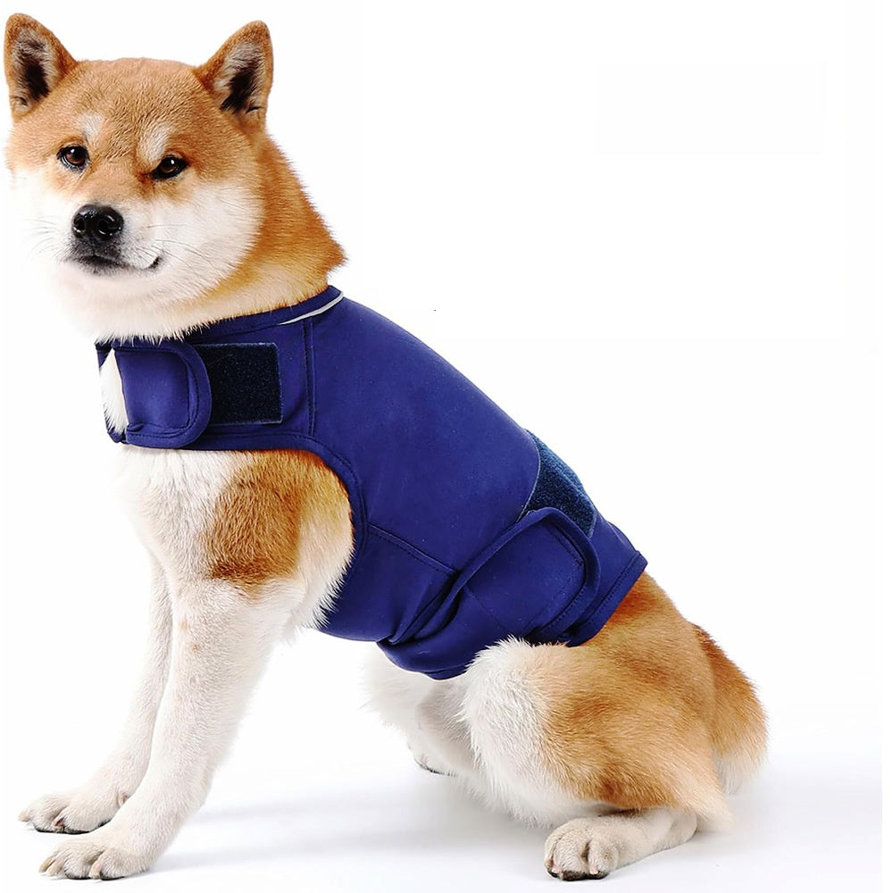 Pet jacket