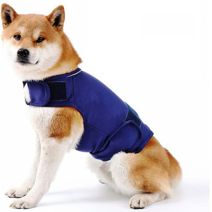 Pet jacket