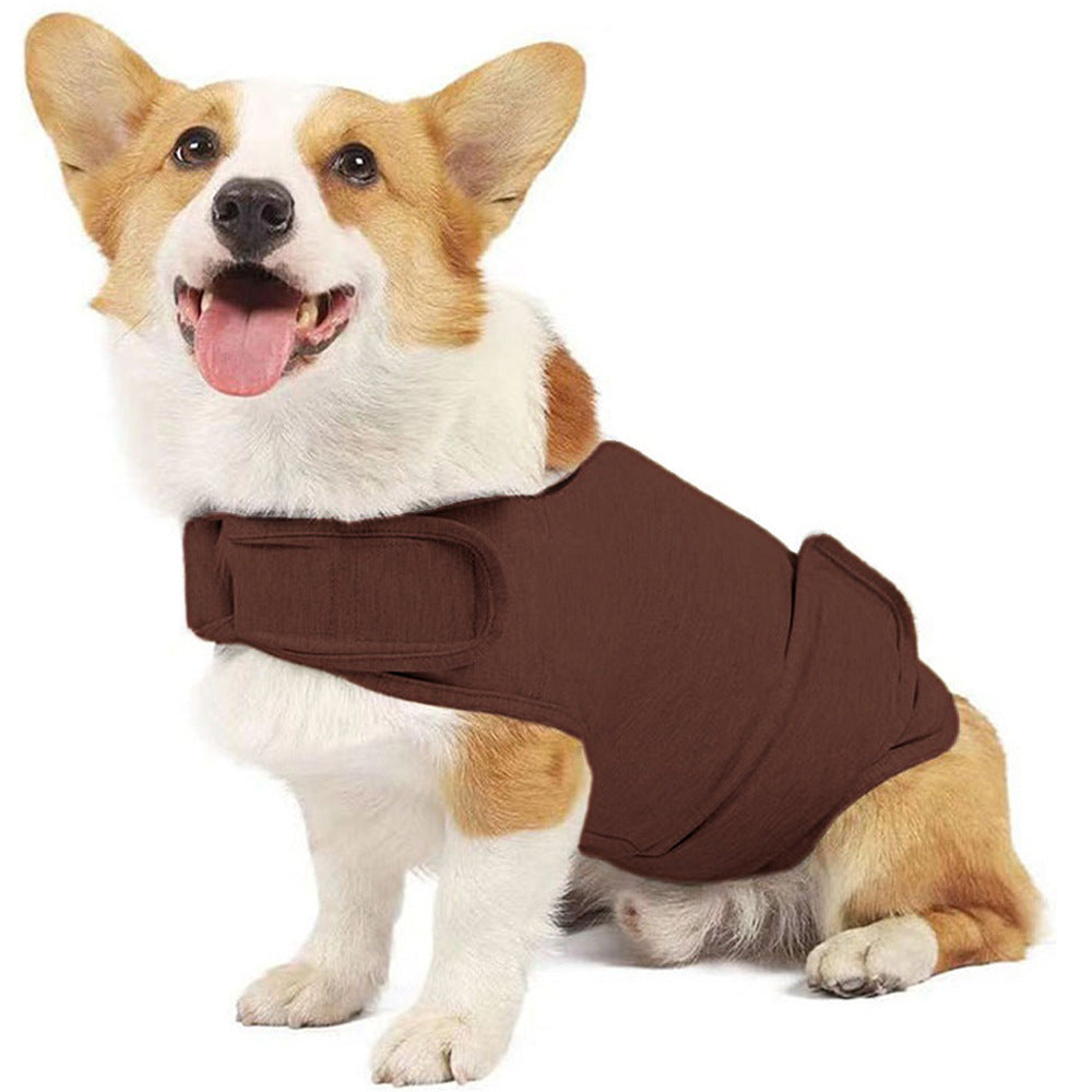 Pet jacket