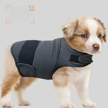 Pet jacket