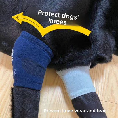 Pet knee pads