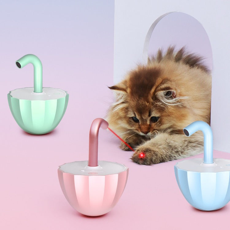pet laser toy