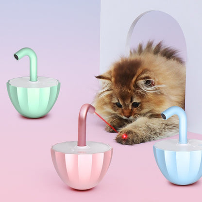 pet laser toy