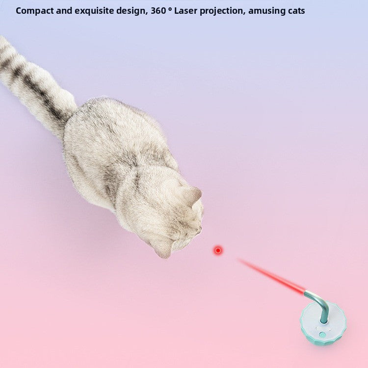 pet laser toy