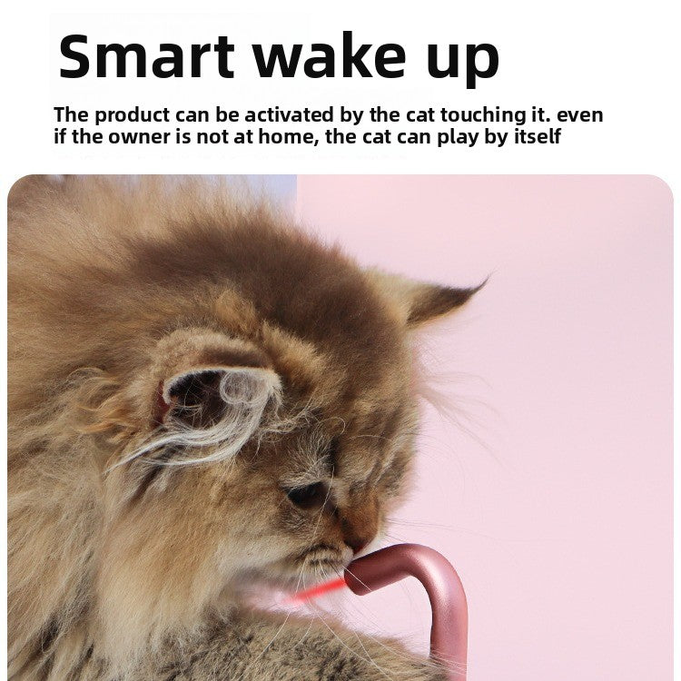 pet laser toy