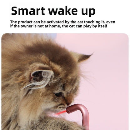 pet laser toy