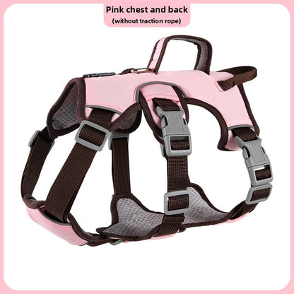 Pet leash