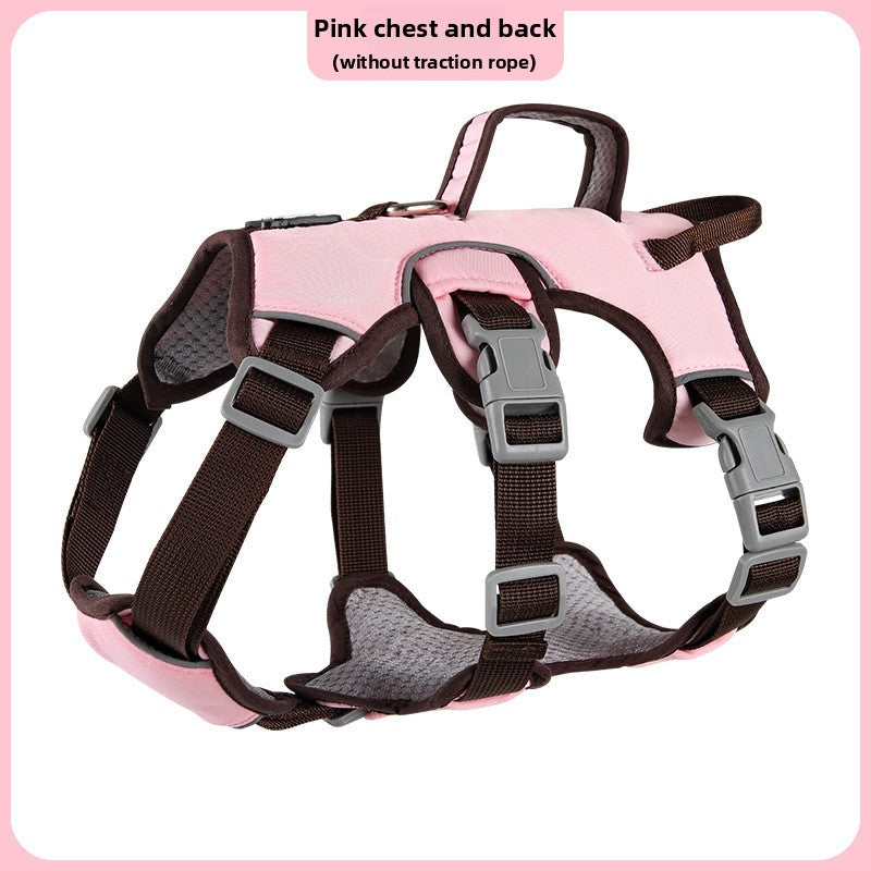 Pet leash