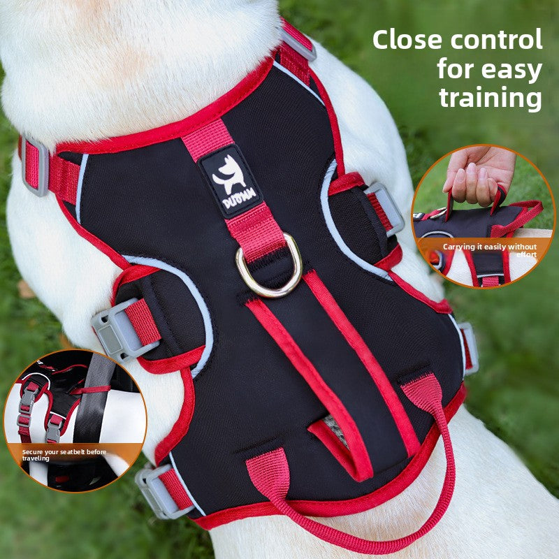 Pet leash
