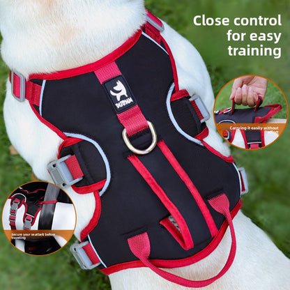 Pet leash