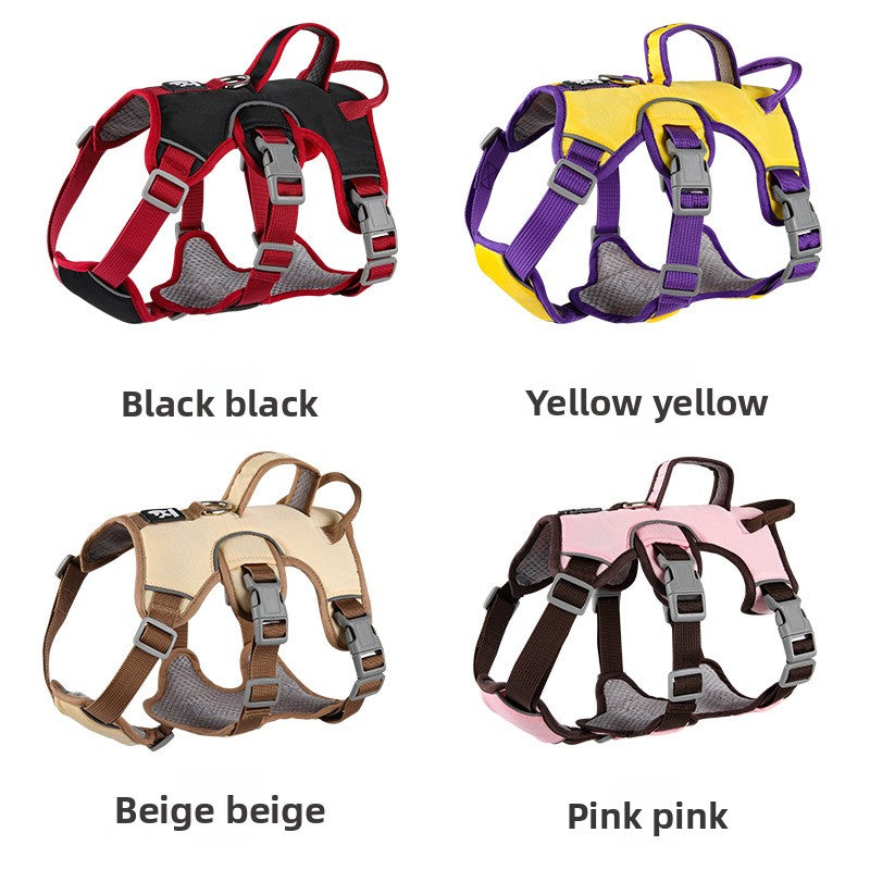 Pet leash