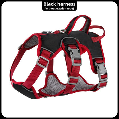 Pet leash