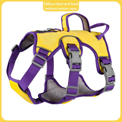 Pet leash