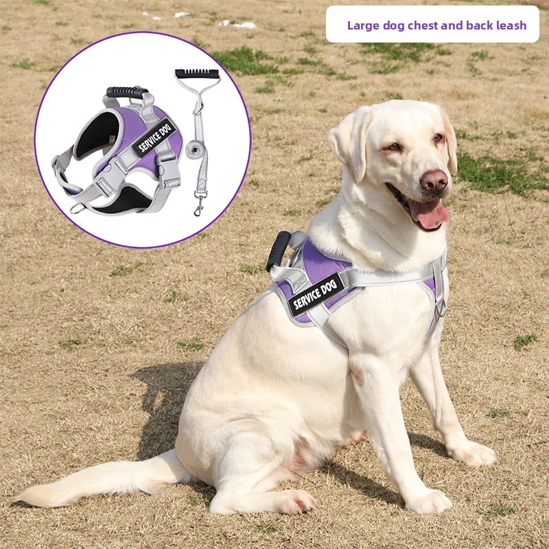 Pet Leash Pet